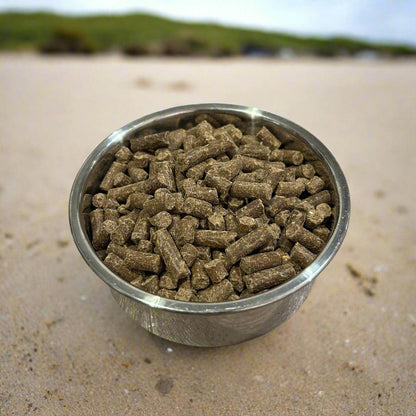 Natures_World_Fish_Cold_Pressed_Dog_Food_Beach - Natures World